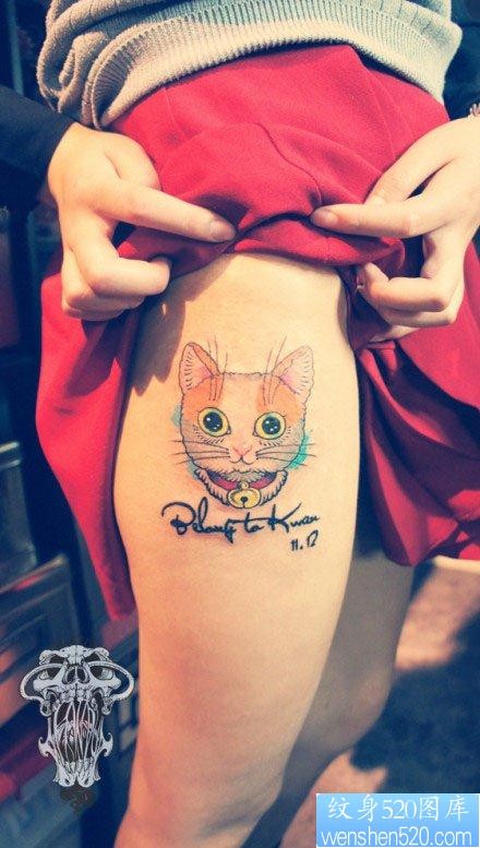 腿部可爱很萌的猫咪纹身图片