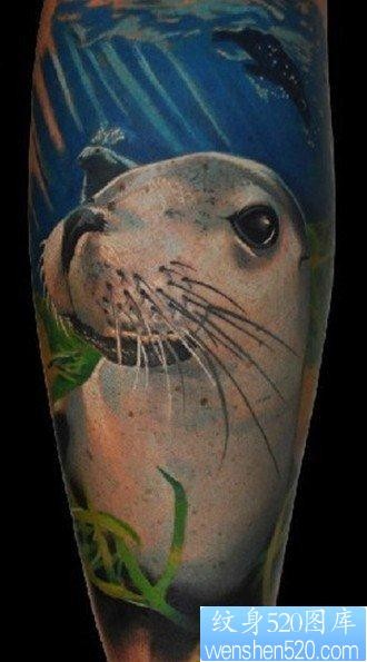 小腿上一张海狮纹身图片