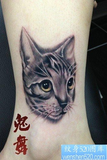 女人脚踝处可爱的小猫咪纹身图片