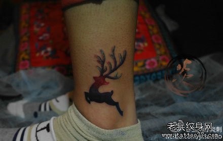 女人腿部前卫经典的小鹿纹身图片