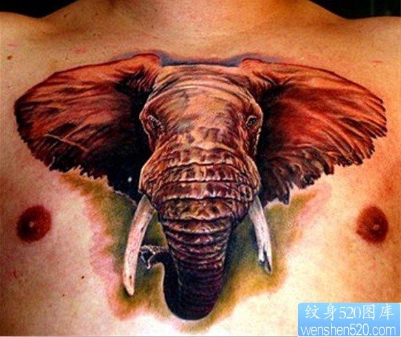 胸口上一张霸气大象纹身图片