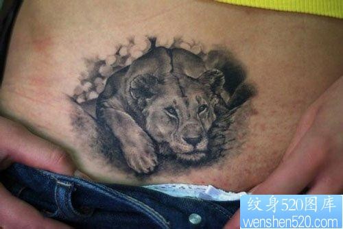 女人腹部流行经典的狮子纹身图片