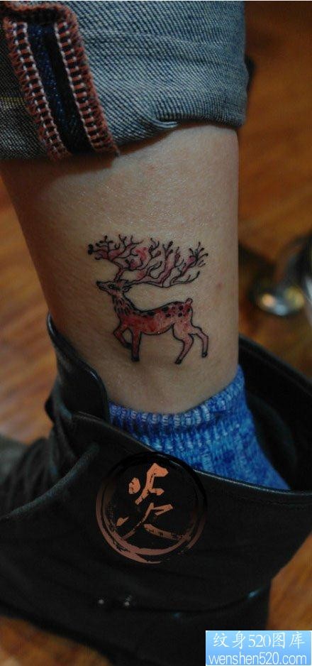 腿部流行漂亮的彩色梅花鹿纹身图片