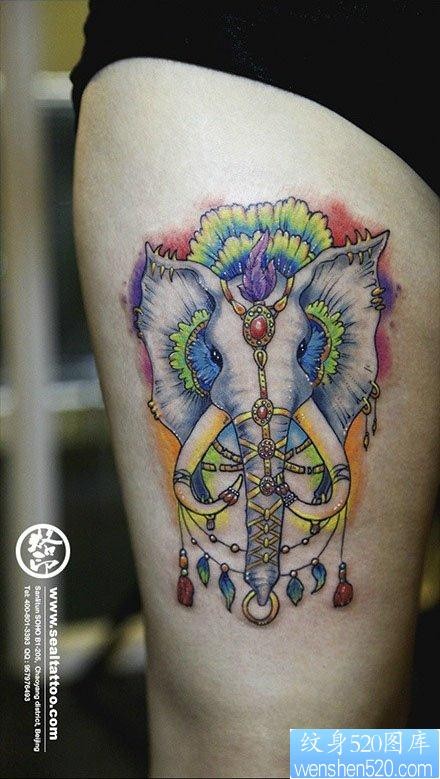 美女腿部精美漂亮的大象纹身图片