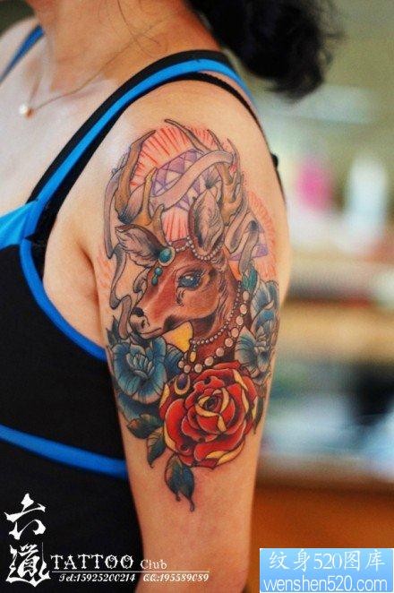 手臂流行经典的一张彩色鹿纹身图片