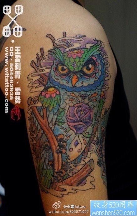 手臂流行很帅的彩色猫头鹰纹身图片