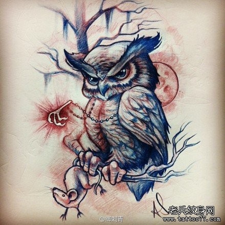 前卫流行的一张猫头鹰纹身手稿