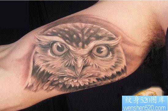 大臂内侧一张猫头鹰纹身图片