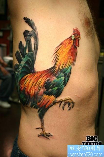 侧腰上一张公鸡纹身图片