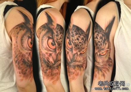 手臂经典很帅的一张猫头鹰纹身图片