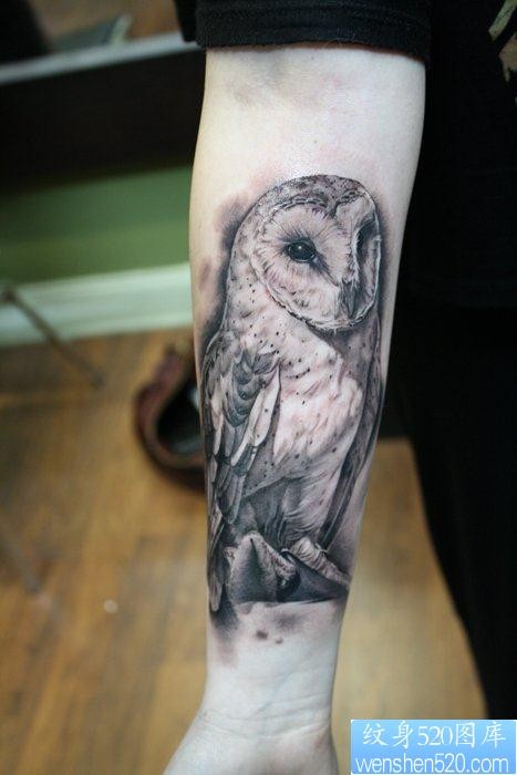 推荐小臂上一张猫头鹰纹身图案