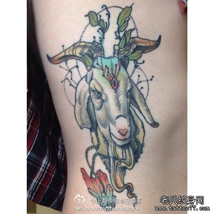 侧腰一张经典的羊头纹身图片