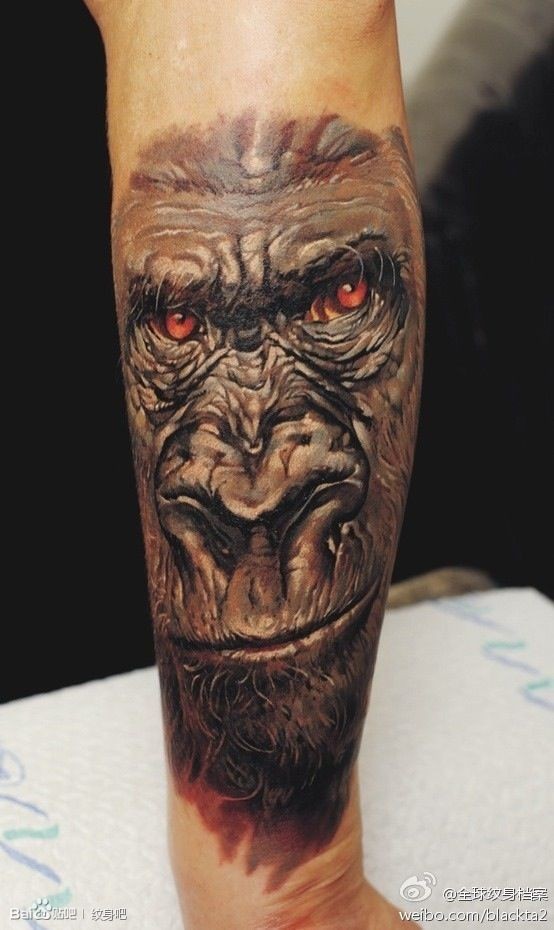 一组霸气大猩猩纹身图片