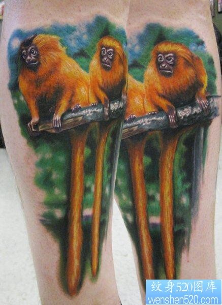 一张逼真的金丝猴纹身图片