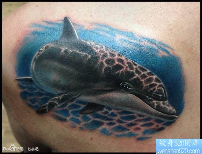 一张漂亮的海豚纹身图片