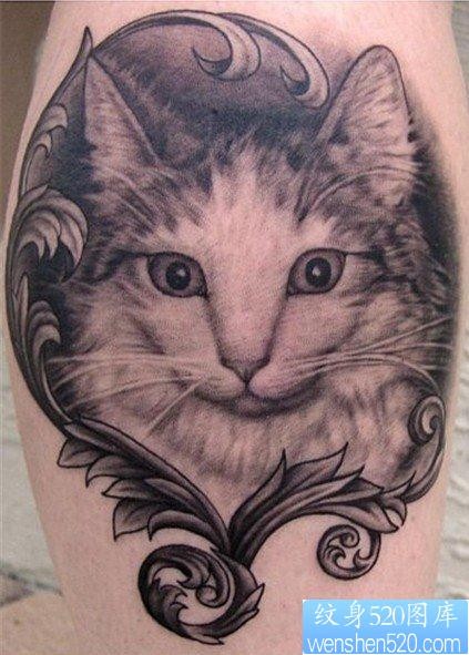 一张可爱的猫咪纹身图片