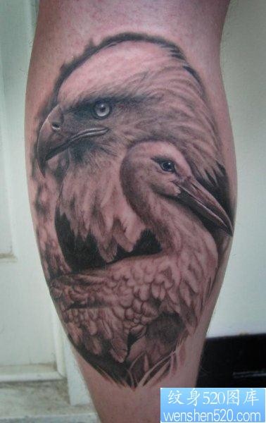 推荐一张小腿上的老鹰天鹅纹身作品