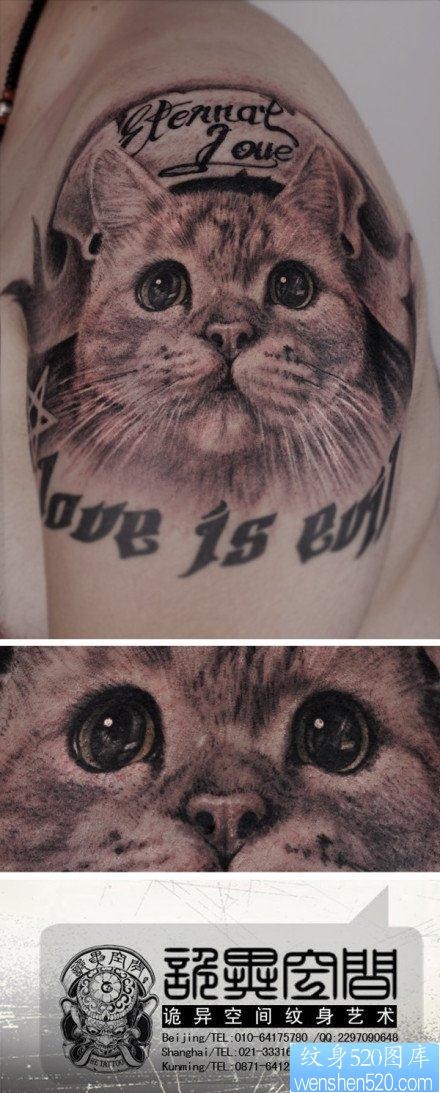 手臂可爱很萌的猫咪纹身图片