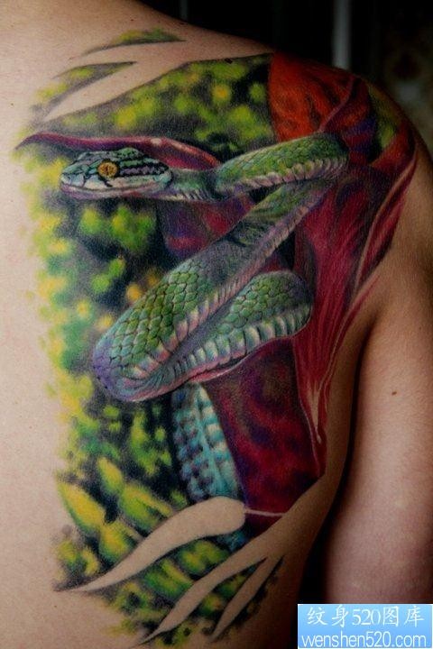 后背上一张逼真的蛇纹身图案