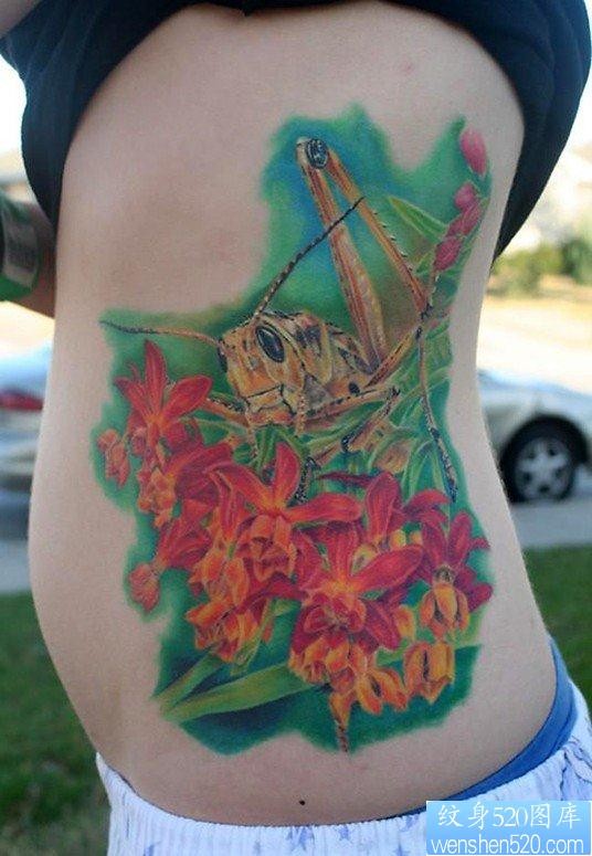美女侧腰上一张彩色螳螂纹身图片
