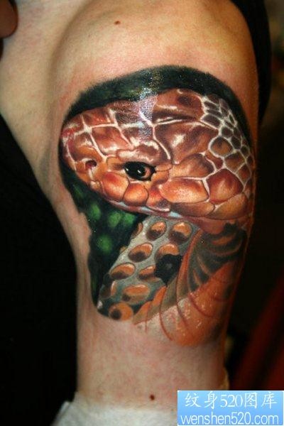大臂上一张非常逼真的蛇纹身作品