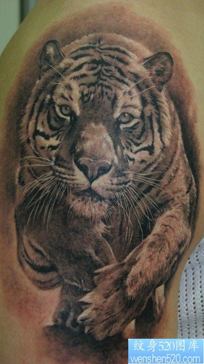 一张大臂小老虎纹身图片