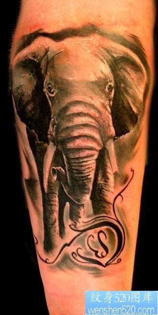 一张大象纹身图片