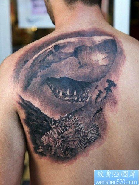 后背上一张鲨鱼纹身图片
