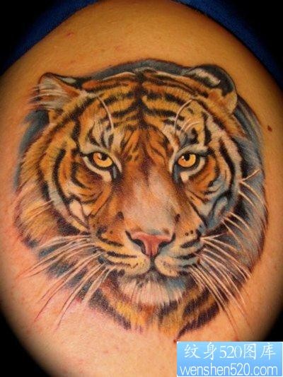 一款老虎头纹身图片
