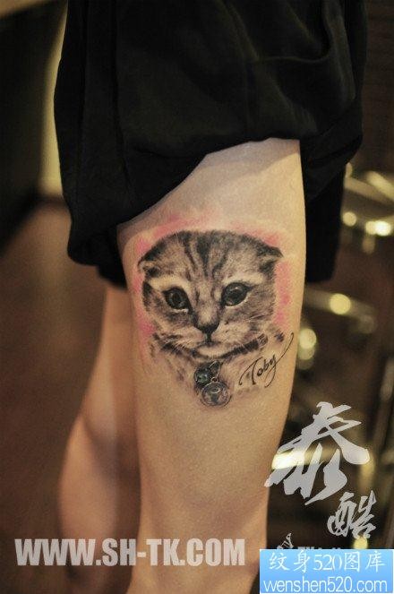 女人腿部呆萌可爱的猫咪纹身图片