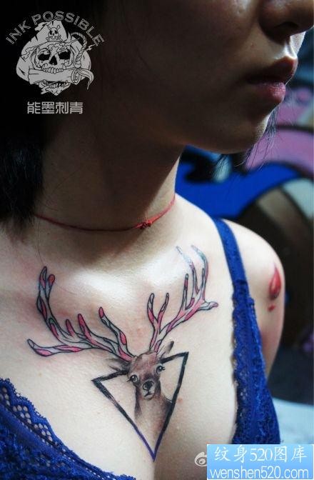 美女胸前经典前卫的小鹿纹身图片