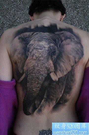 推荐大家欣赏一张满背大象纹身作品