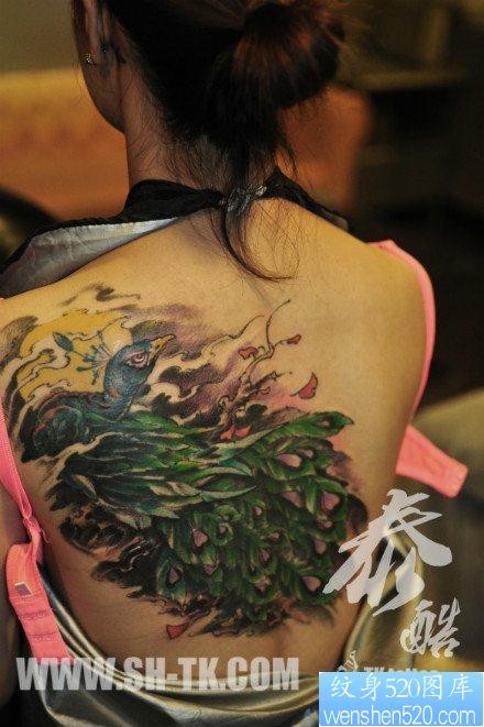 女人后背漂亮的彩色孔雀纹身图片