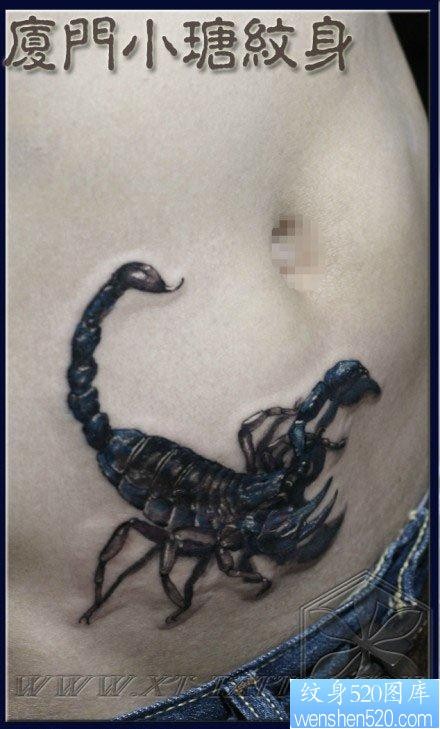 男性腹部一张经典的蝎子纹身图片