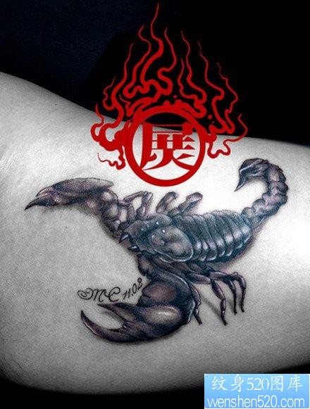 手臂内侧很酷经典的蝎子纹身图片