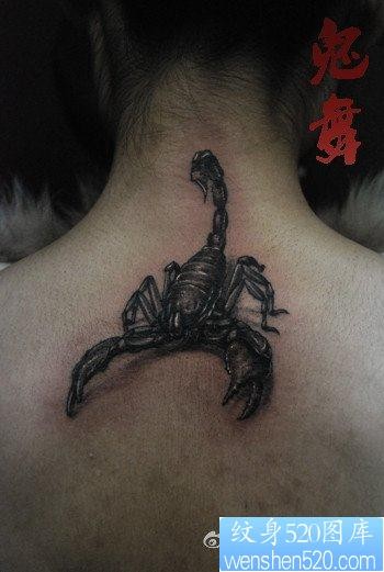 女人颈部流行超酷的蝎子纹身图片