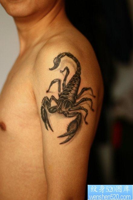 男性手臂流行经典的蝎子纹身图片