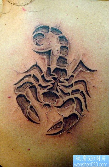 一张流行经典的石裂烙印蝎子纹身图片
