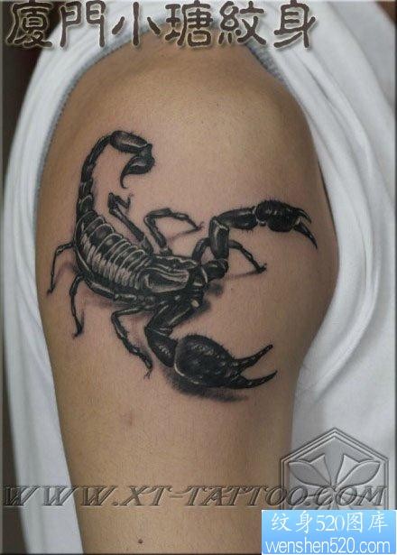 男生手臂经典的黑白写蝎子纹身图片