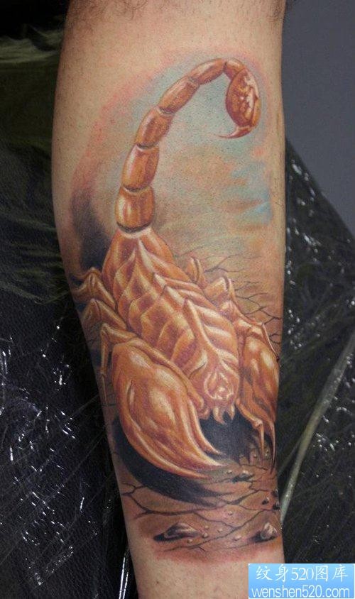 腿部流行经典的欧美彩色蝎子纹身图片