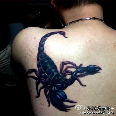 男生肩背超酷的蝎子纹身图片