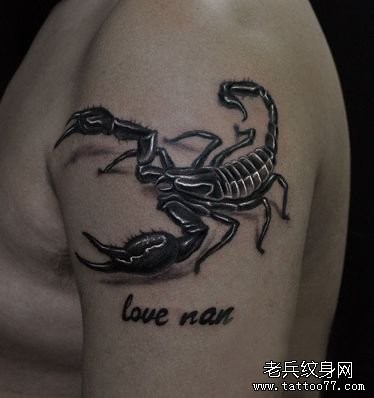 男性手臂欧美风格的蝎子纹身图片