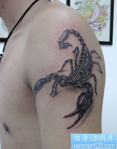 手臂帅气流行的蝎子纹身图片