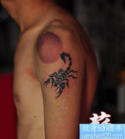 手臂帅气时尚的图腾蝎子纹身图片