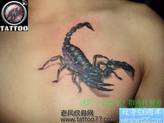 男性喜欢的胸部蝎子纹身图片
