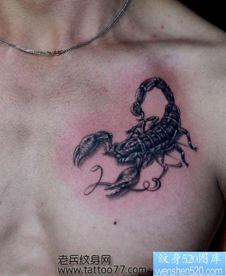 胸部经典的蝎子纹身图片