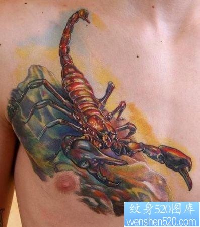 蝎子纹身图片：胸部3D彩色蝎子纹身图案