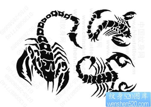 经典流行几款图腾蝎子纹身图案