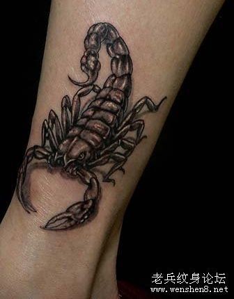 蝎子纹身图片：一张流行经典腿部蝎子纹身图案