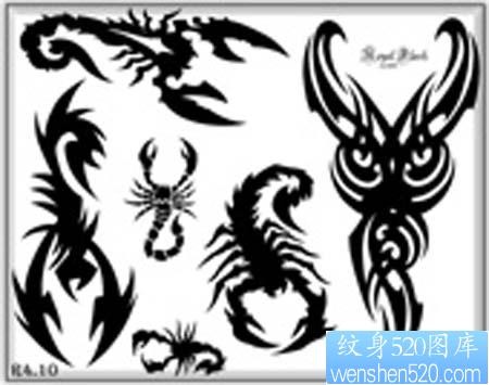几款经典图腾蝎子纹身图案